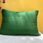 Tuscany Green leher Raw Silk Cushion (14 by 20 Inches)